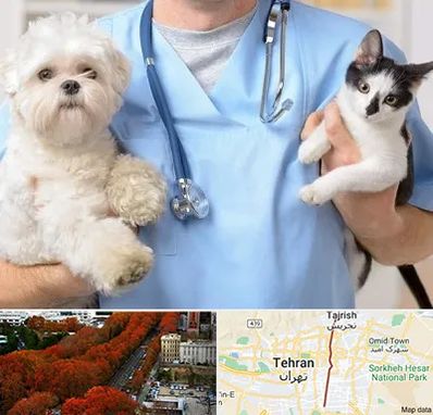 بیمارستان شبانه روزی دامپزشکی در ولیعصر 