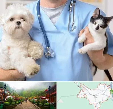 بیمارستان شبانه روزی دامپزشکی در فومن