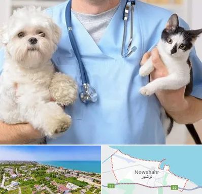 بیمارستان شبانه روزی دامپزشکی در نوشهر