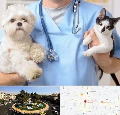 بیمارستان شبانه روزی دامپزشکی در هفت حوض 