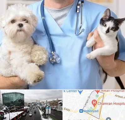 بیمارستان شبانه روزی دامپزشکی در اقدسیه 