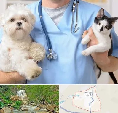 بیمارستان شبانه روزی دامپزشکی در کردان