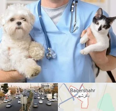 بیمارستان شبانه روزی دامپزشکی در باقرشهر