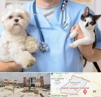بیمارستان شبانه روزی دامپزشکی در حکیمیه 