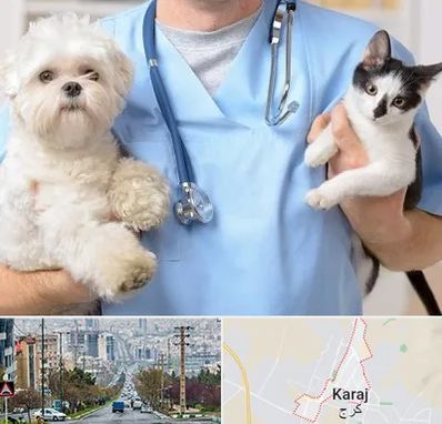 بیمارستان شبانه روزی دامپزشکی در گوهردشت کرج 