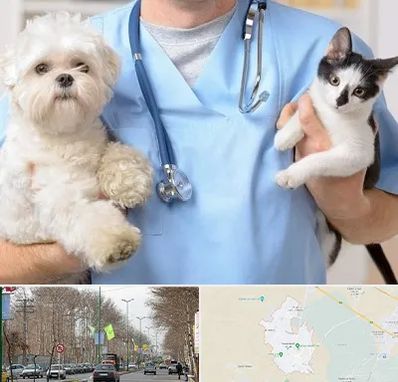 بیمارستان شبانه روزی دامپزشکی در نظرآباد کرج