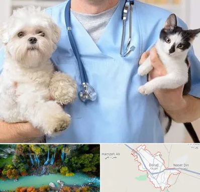 بیمارستان شبانه روزی دامپزشکی در دورود