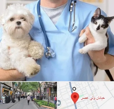 بیمارستان شبانه روزی دامپزشکی در ولیعصر شهریار