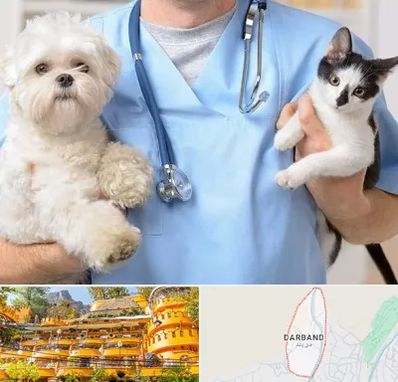 بیمارستان شبانه روزی دامپزشکی در دربند