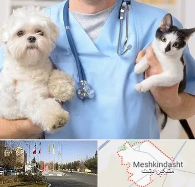 بیمارستان شبانه روزی دامپزشکی در مشکین دشت