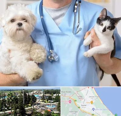 بیمارستان شبانه روزی دامپزشکی در رودسر