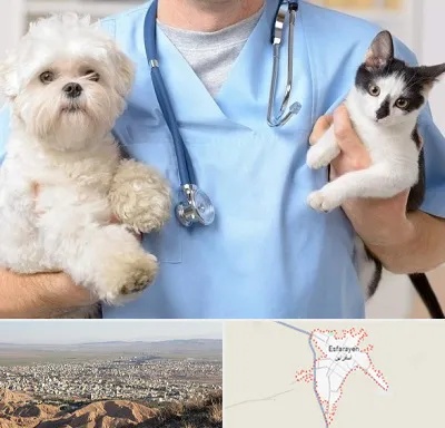 بیمارستان شبانه روزی دامپزشکی در اسفراین
