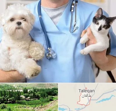 بیمارستان شبانه روزی دامپزشکی در طالقان