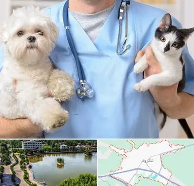 بیمارستان شبانه روزی دامپزشکی در لنگرود