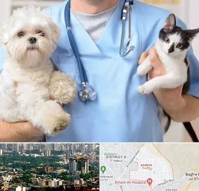 بیمارستان شبانه روزی دامپزشکی در عظیمیه کرج 