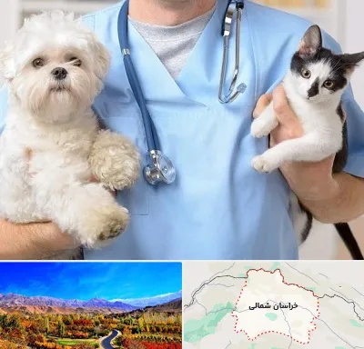 بیمارستان شبانه روزی دامپزشکی در خراسان شمالی