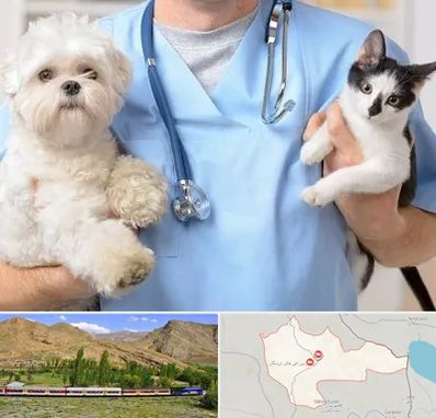 بیمارستان شبانه روزی دامپزشکی در خاش