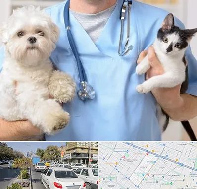 بیمارستان شبانه روزی دامپزشکی در مفتح مشهد