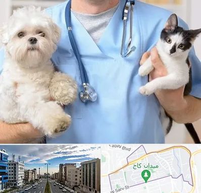 بیمارستان شبانه روزی دامپزشکی در سعادت آباد 