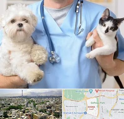 بیمارستان شبانه روزی دامپزشکی در گیشا 