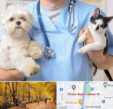 بیمارستان شبانه روزی دامپزشکی در چهارباغ اصفهان