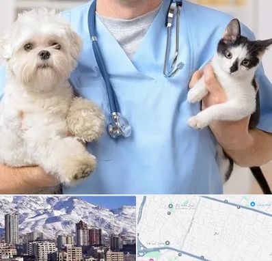 بیمارستان شبانه روزی دامپزشکی در ازگل