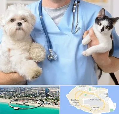 بیمارستان شبانه روزی دامپزشکی در کیش
