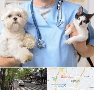 بیمارستان شبانه روزی دامپزشکی در ظفر 