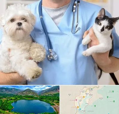 بیمارستان شبانه روزی دامپزشکی در رودبار