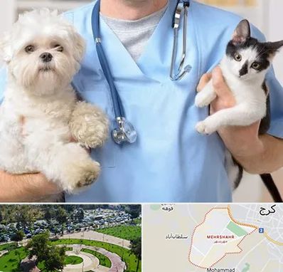 بیمارستان شبانه روزی دامپزشکی در مهرشهر کرج 