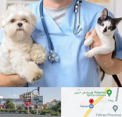 بیمارستان شبانه روزی دامپزشکی در هروی 