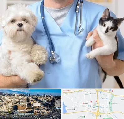 بیمارستان شبانه روزی دامپزشکی در شهرک راه آهن