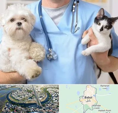 بیمارستان شبانه روزی دامپزشکی در بابل