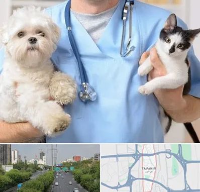 بیمارستان شبانه روزی دامپزشکی در توانیر