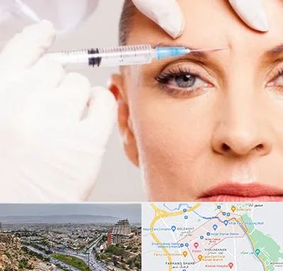 مزوژل در معالی آباد شیراز