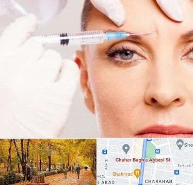 مزوژل در چهارباغ اصفهان