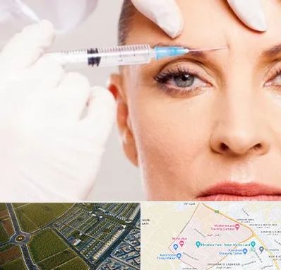 مزوژل در الهیه مشهد