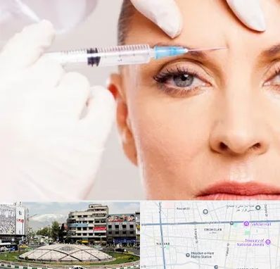 مزوژل در مرکز تهران