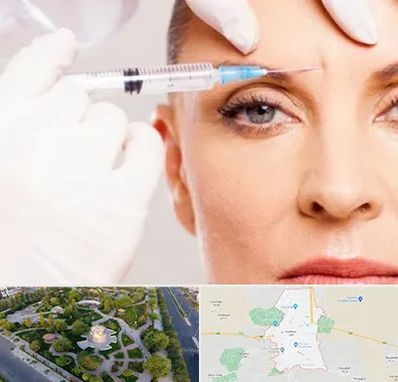 مزوژل در کاشمر