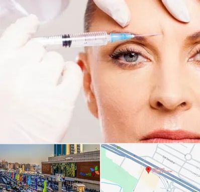 مزوژل در لاله پارک تبریز