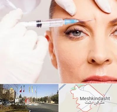 مزوژل در مشکین دشت