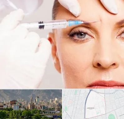 مزوژل در جمشیدیه