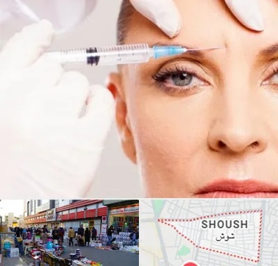 مزوژل در شوش