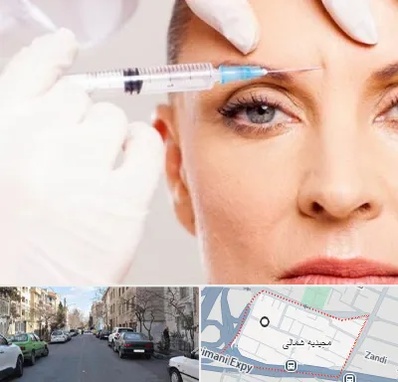 مزوژل در مجیدیه شمالی