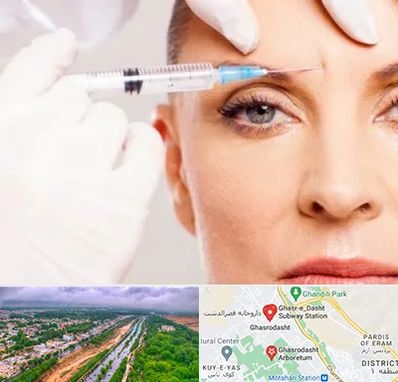 مزوژل در قصرالدشت شیراز