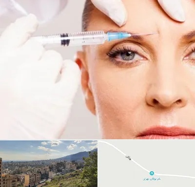 مزوژل در بوکان تهران