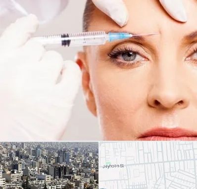 مزوژل در جیحون