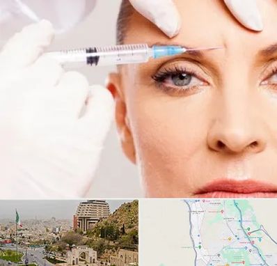 مزوژل در فرهنگ شهر شیراز