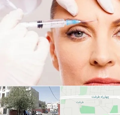 مزوژل در طرشت