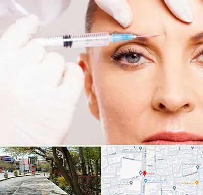 مزوژل در خیابان توحید اصفهان